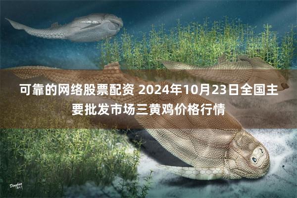 可靠的网络股票配资 2024年10月23日全国主要批发市场三黄鸡价格行情