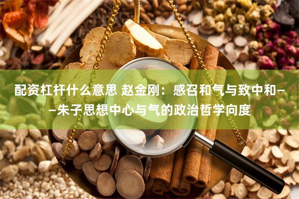 配资杠杆什么意思 赵金刚：感召和气与致中和——朱子思想中心与气的政治哲学向度