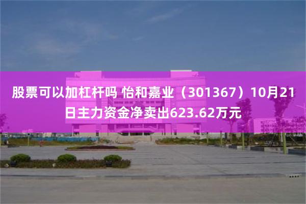 股票可以加杠杆吗 怡和嘉业（301367）10月21日主力资金净卖出623.62万元