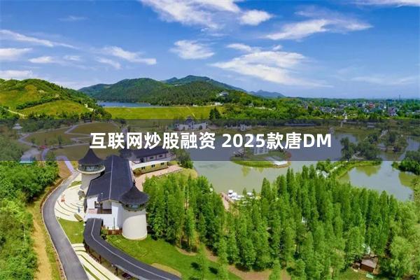 互联网炒股融资 2025款唐DM