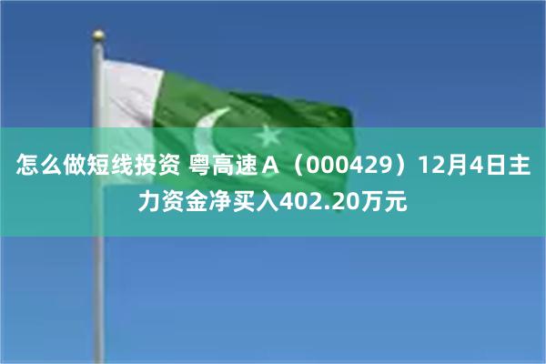 怎么做短线投资 粤高速Ａ（000429）12月4日主力资金净买入402.20万元