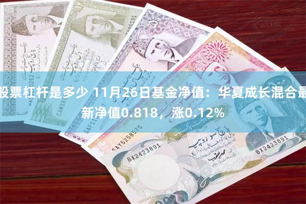 股票杠杆是多少 11月26日基金净值：华夏成长混合最新净值0.818，涨0.12%