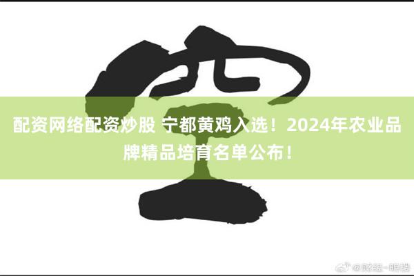 配资网络配资炒股 宁都黄鸡入选！2024年农业品牌精品培育名单公布！