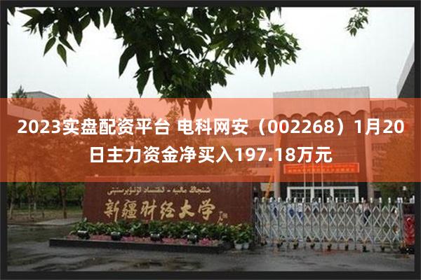 2023实盘配资平台 电科网安（002268）1月20日主力资金净买入197.18万元