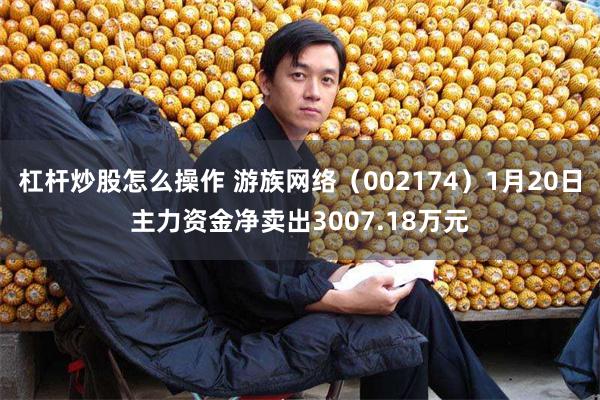 杠杆炒股怎么操作 游族网络（002174）1月20日主力资金净卖出3007.18万元